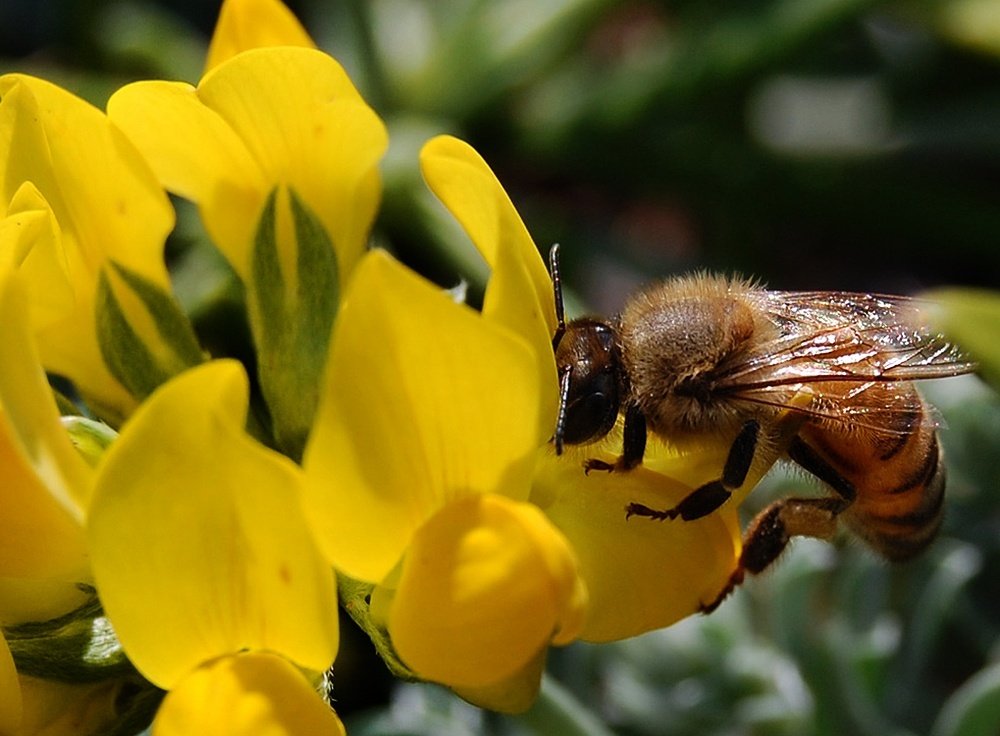 Photograph by Яков