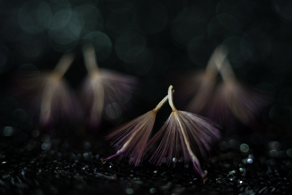 Космический балет