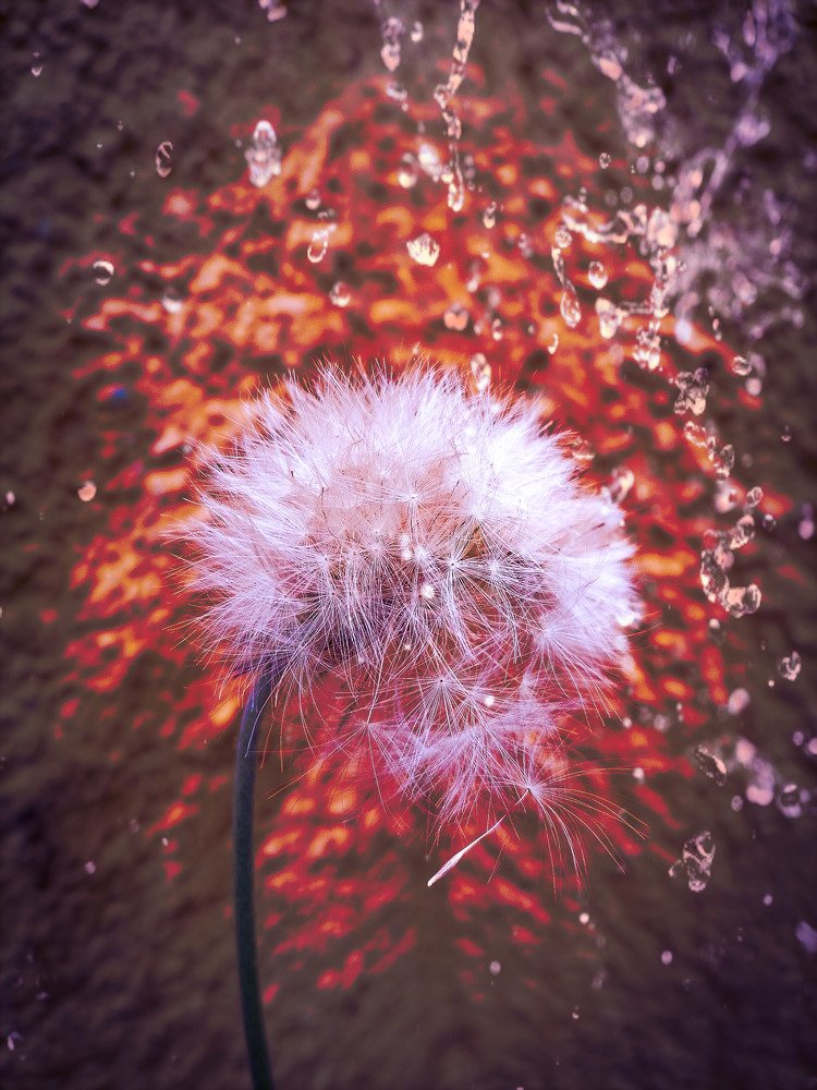 Photograph by Jesus Santamaría