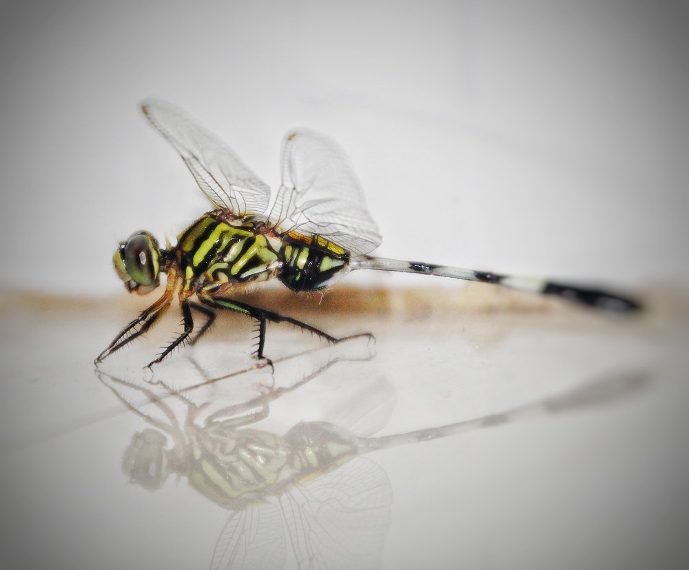 Photograph by Kapilesh Gujarathi