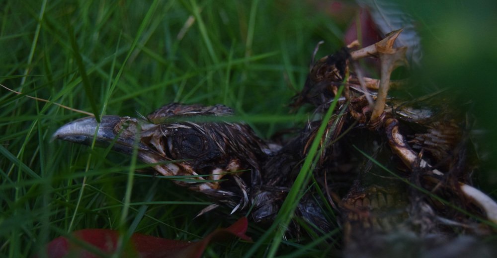 Photograph by shinlay shinas