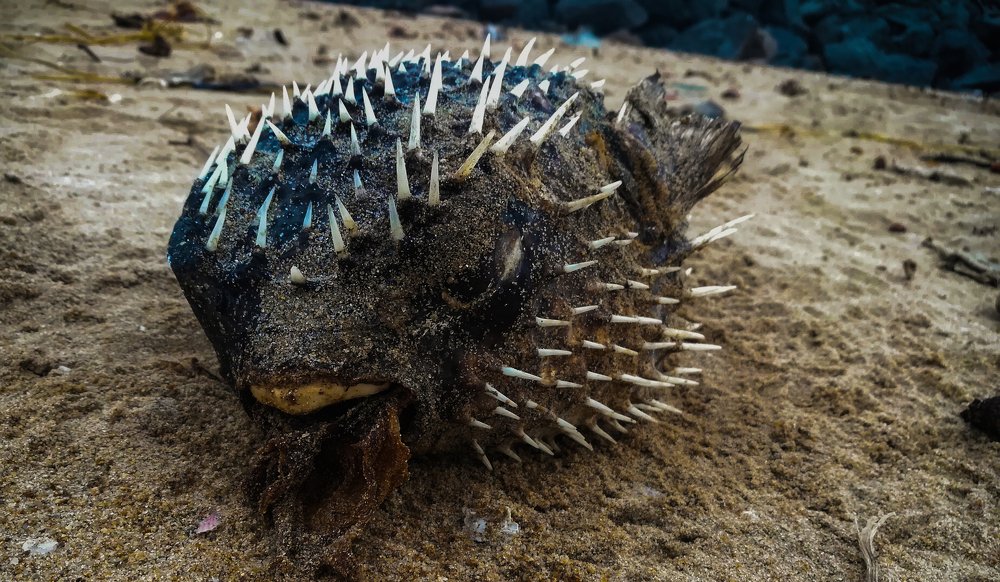 Photograph by shinlay shinas