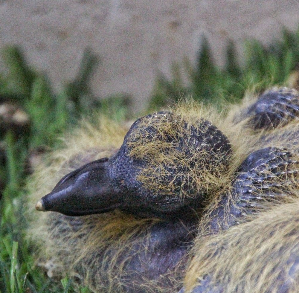 Photograph by Kapilesh Gujarathi