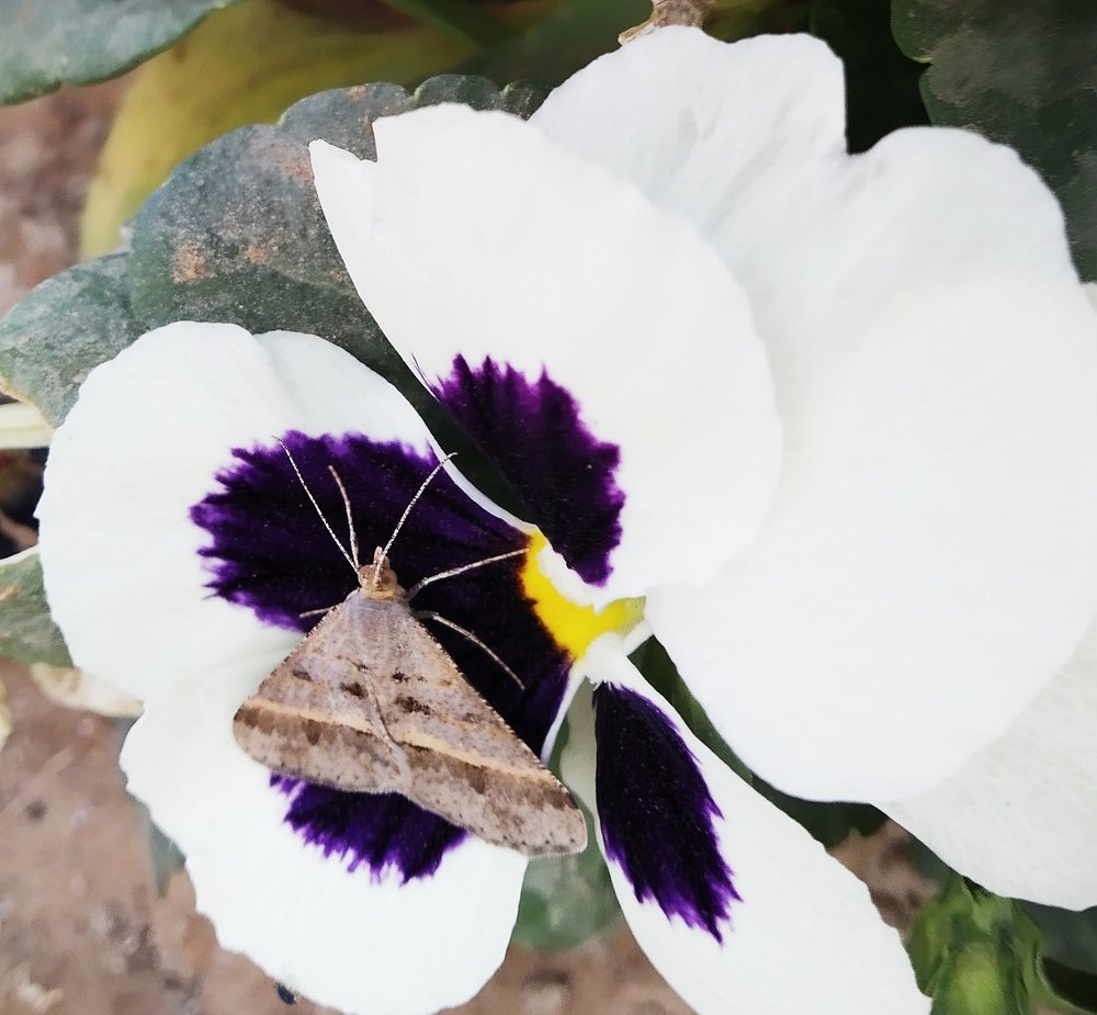 Photograph by Megha Goyal