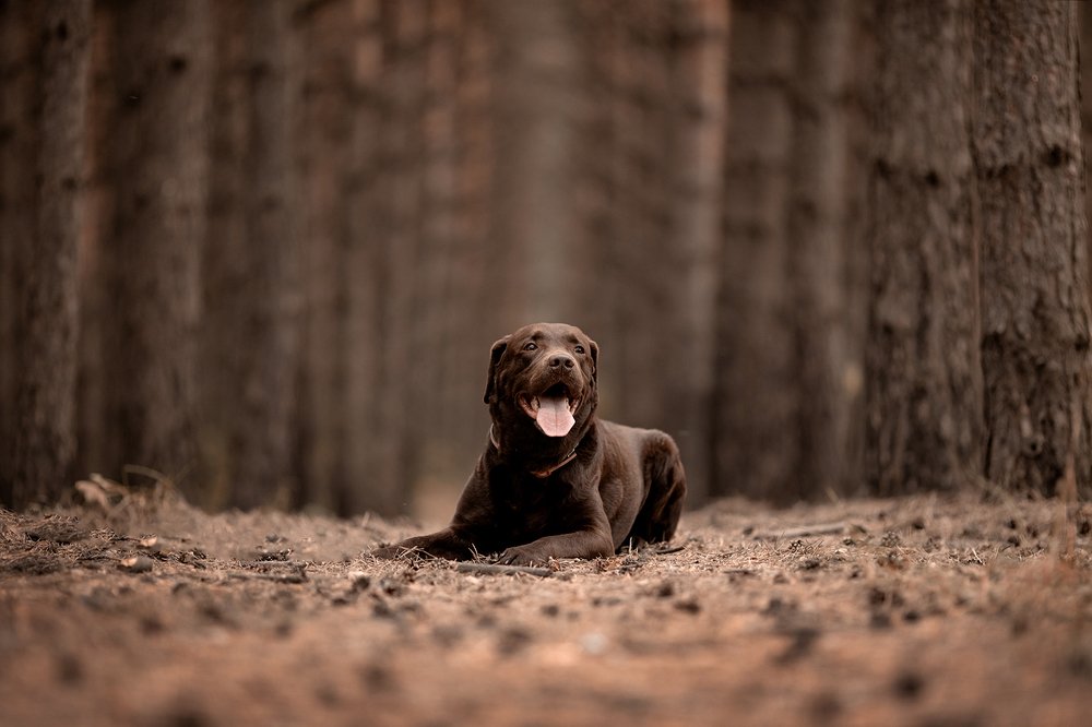 Photograph by Наталия Панченко