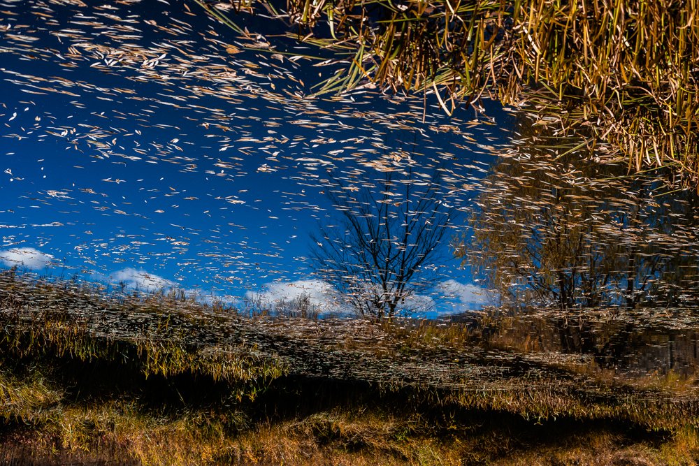 Photograph by Анна Силютина