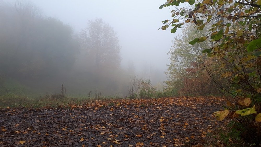 Осенний туман