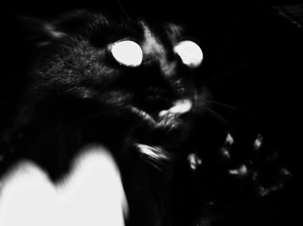 Фотография автора Oксана