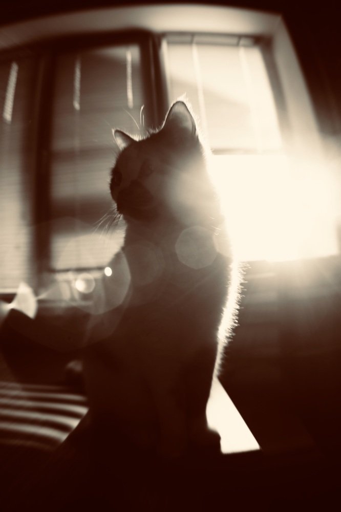 Photograph by Natalya Chumak