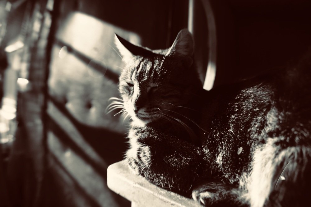 Photograph by Natalya Chumak