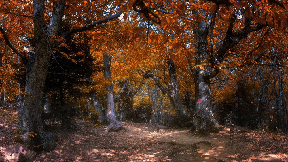 Photograph by Дмитрий Петренко