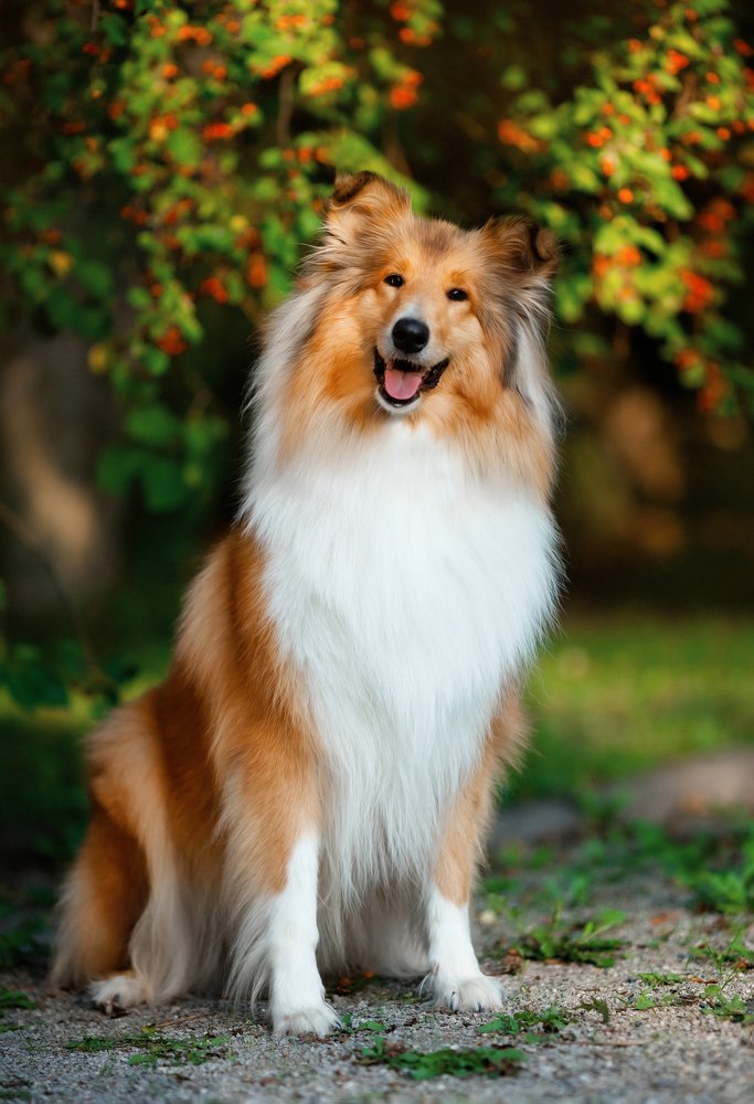 Photograph by Наталия Панченко