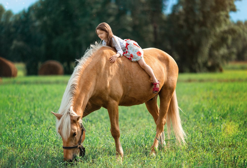 Photograph by Наталия Панченко
