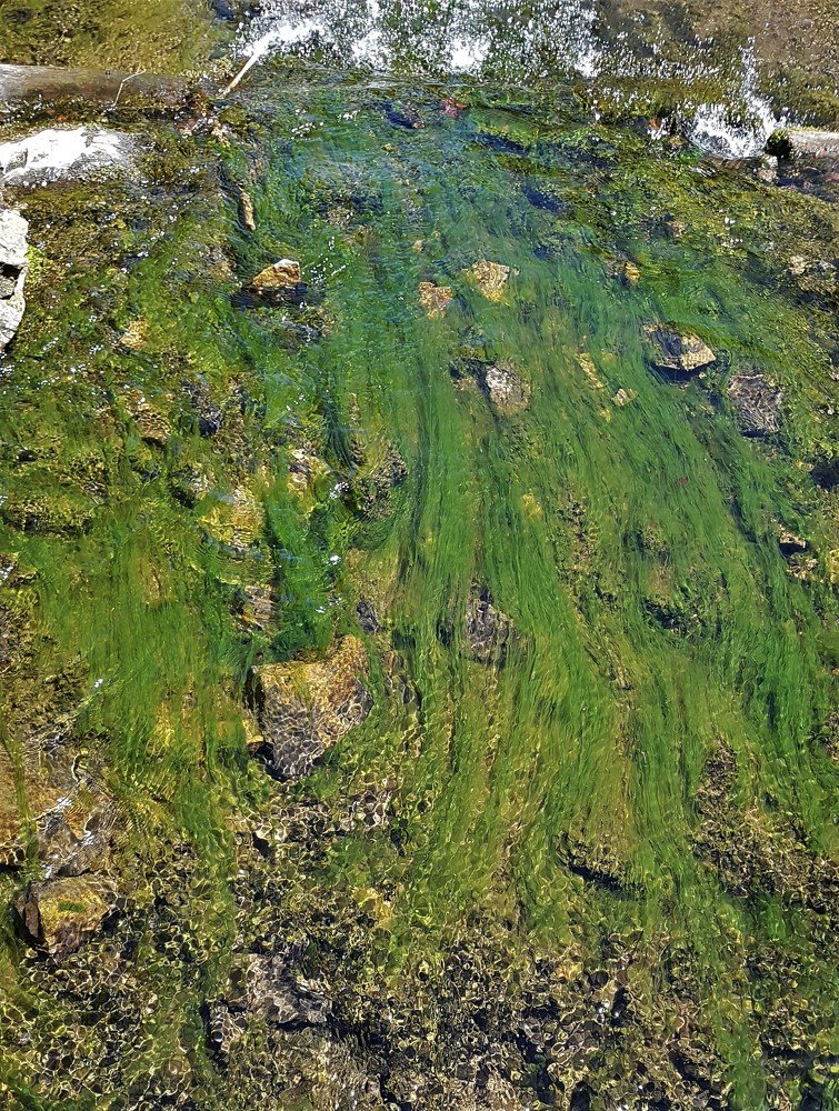 Photograph by Андрей Телибаев