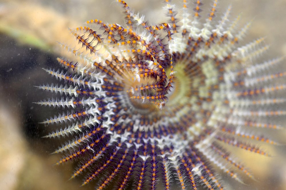 Photograph by Yuwaraj Gurjar