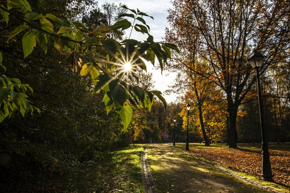 Photograph by Yuliya Ilina