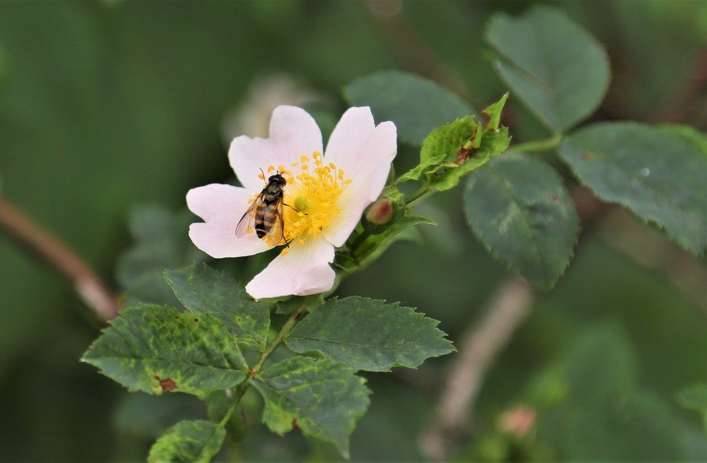 Photograph by Андрей Телибаев