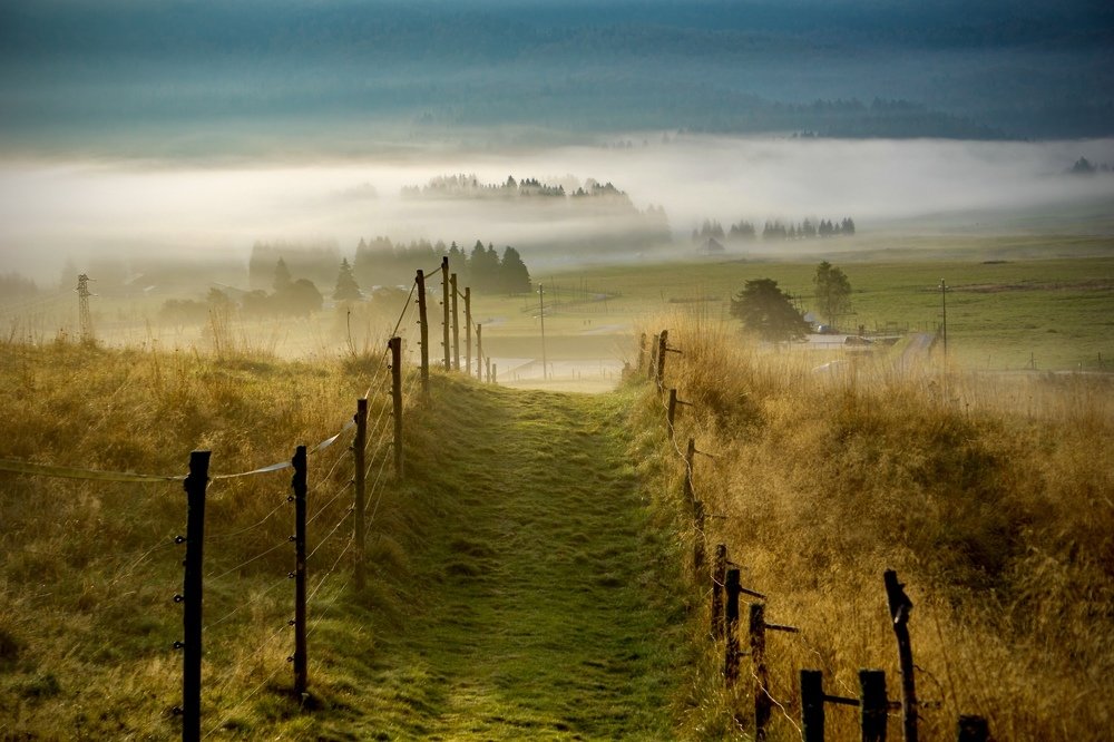 Фотография автора Crespan Terry