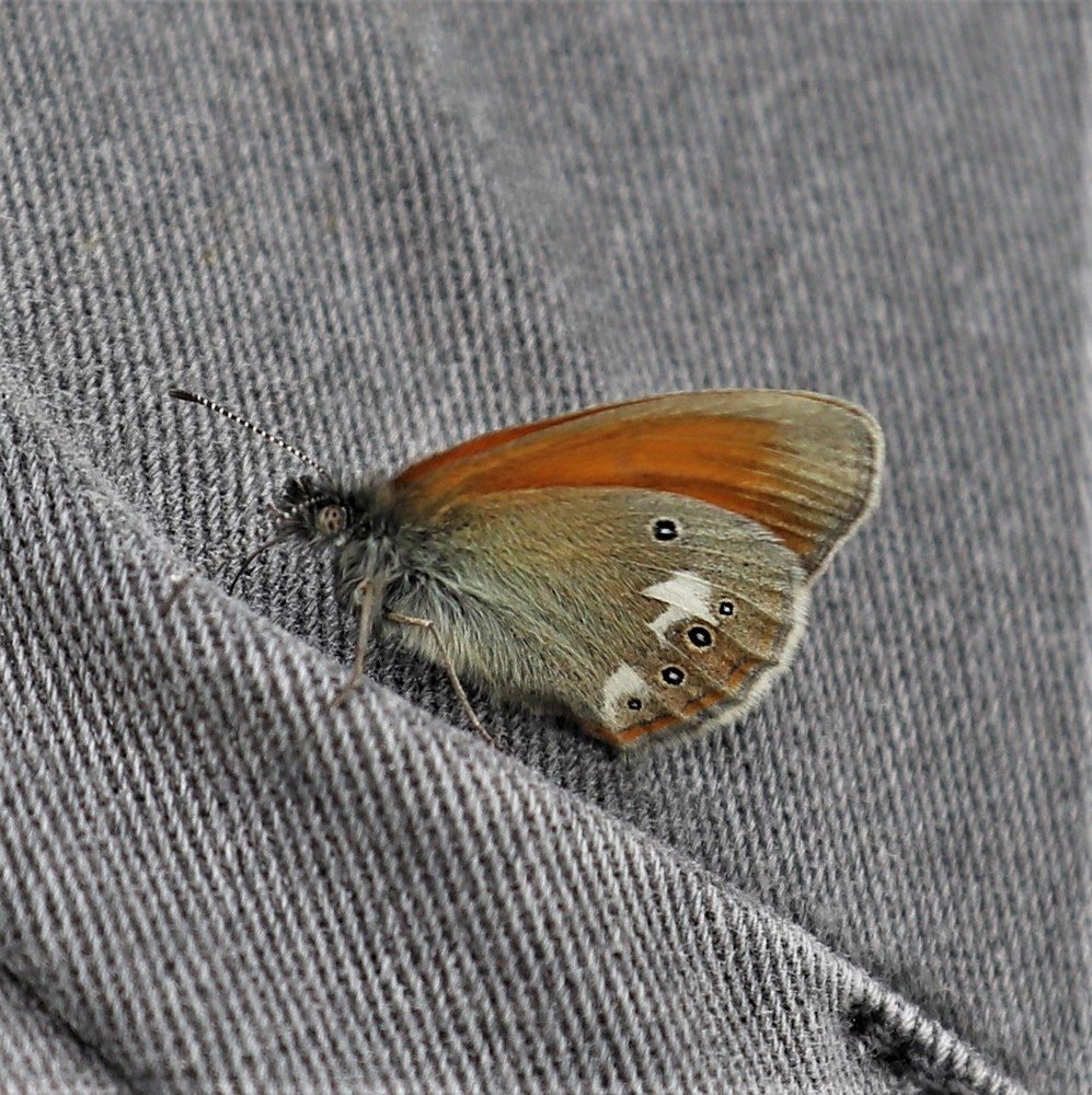 Photograph by Андрей Телибаев