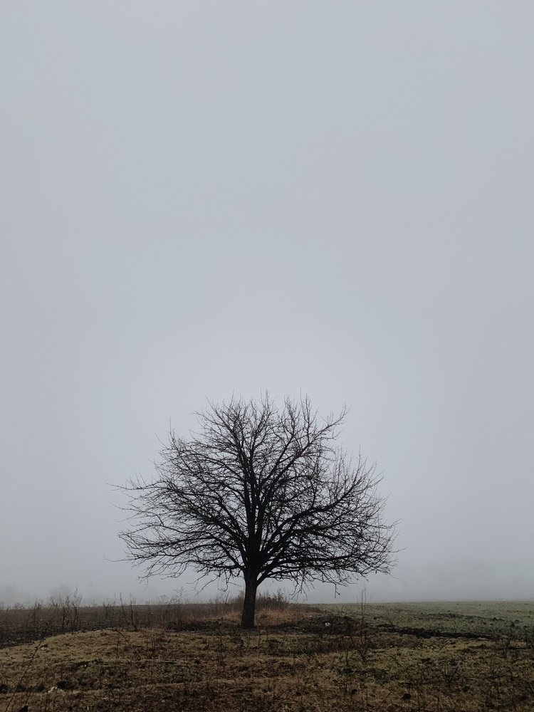 Photograph by Павел Тищенко