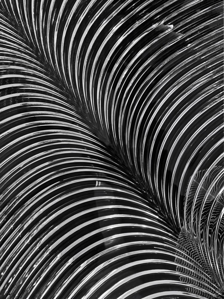 Photograph by Людмила Ефремова