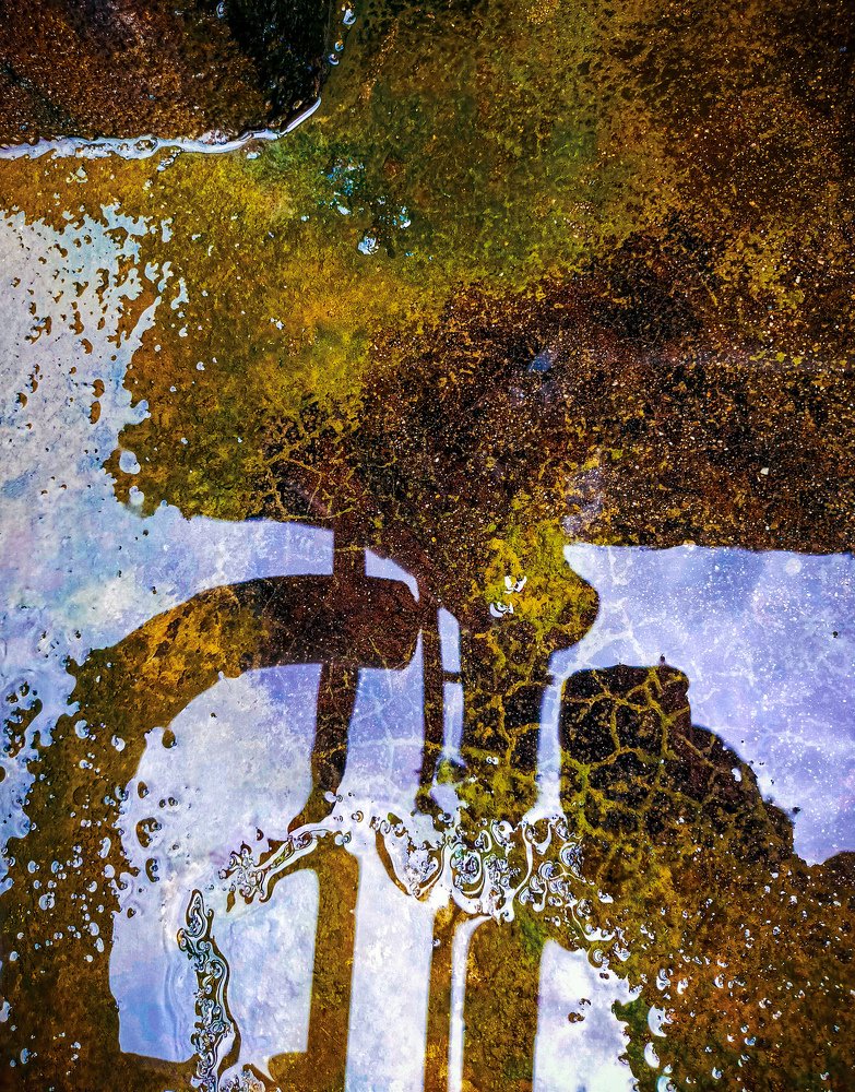 Photograph by Aniz Vadakkan