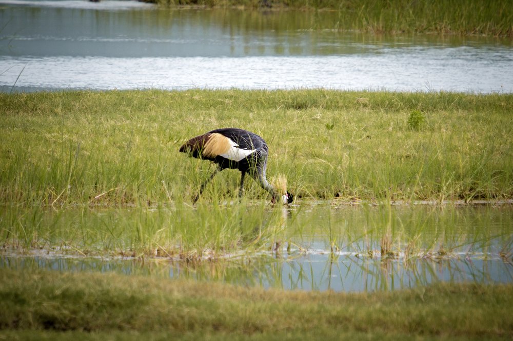 Photograph by Alina Mitrea