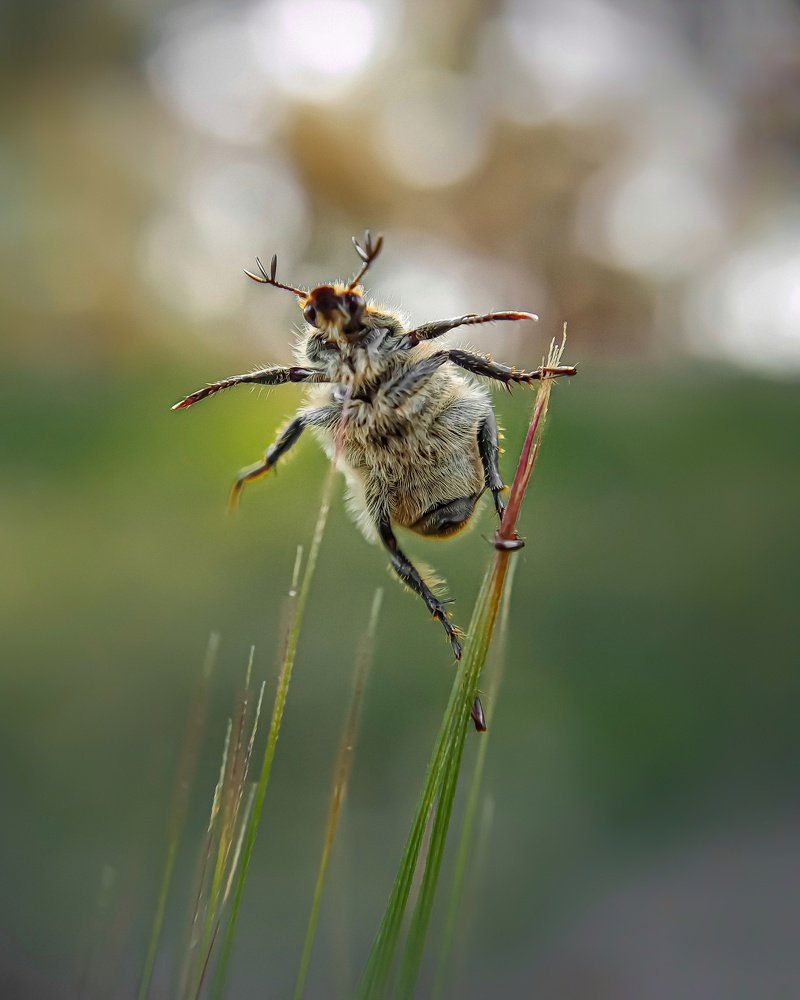 Photograph by Сергей Колос