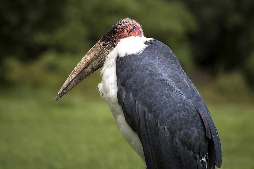 Photograph by Alina Mitrea