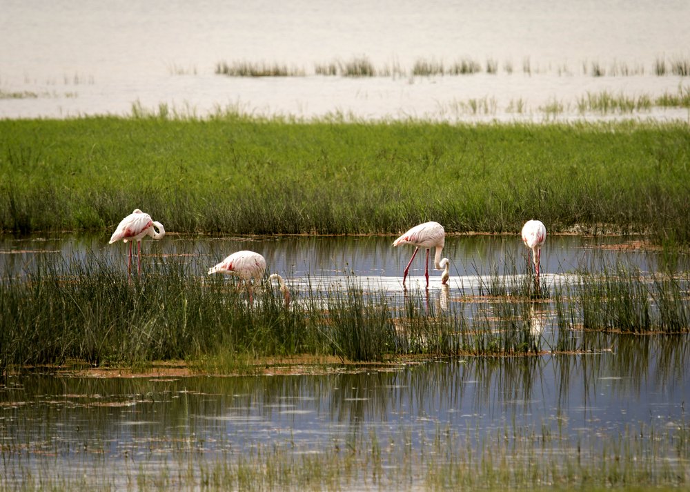 Photograph by Alina Mitrea