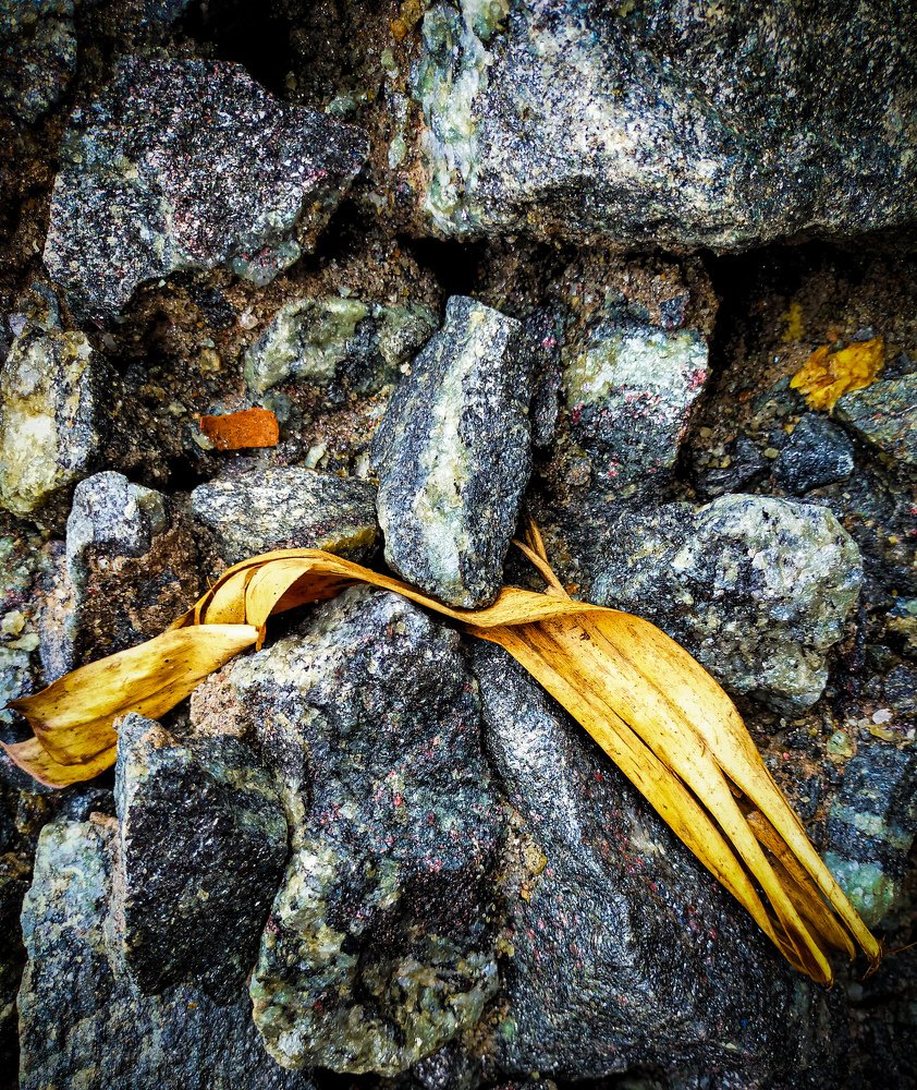 Photograph by Aniz Vadakkan