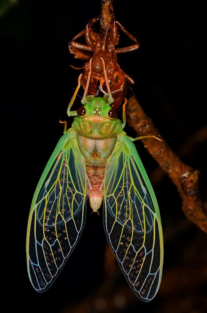 Photograph by Yuwaraj Gurjar