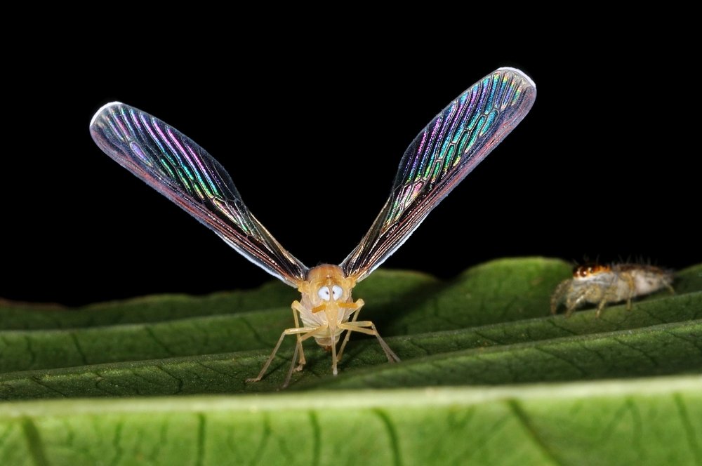 Photograph by Yuwaraj Gurjar