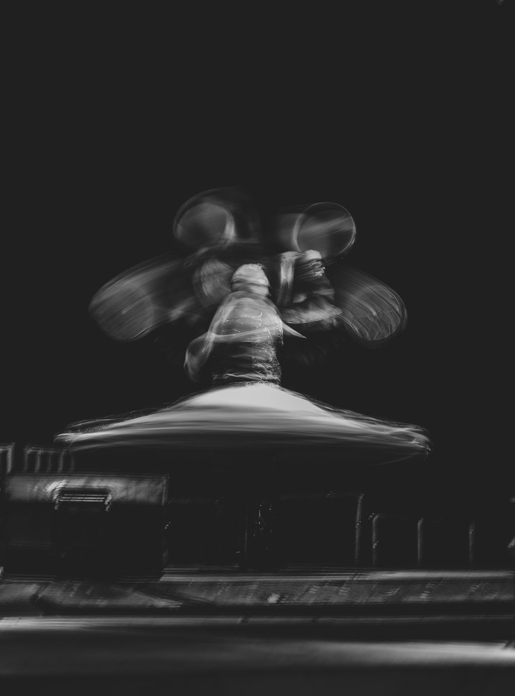 Photograph by Alina Mitrea