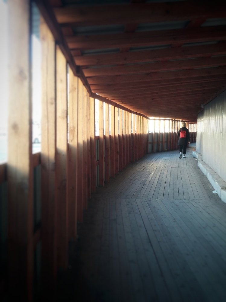 Photograph by Елена Амосова