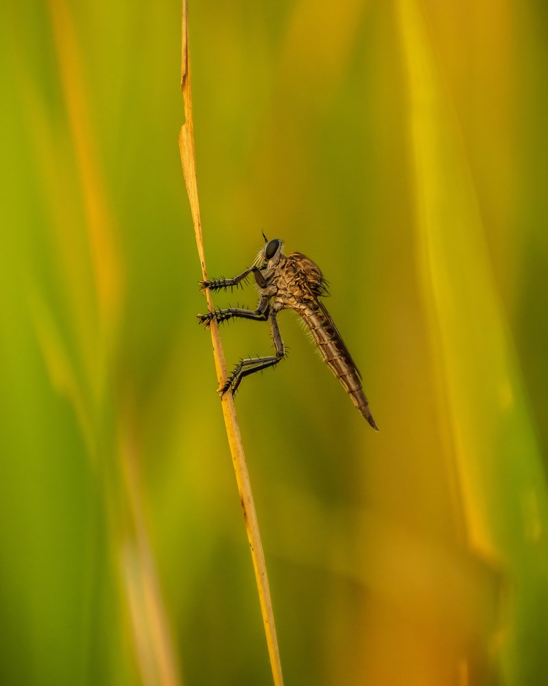 Photograph by Ankur Yadav