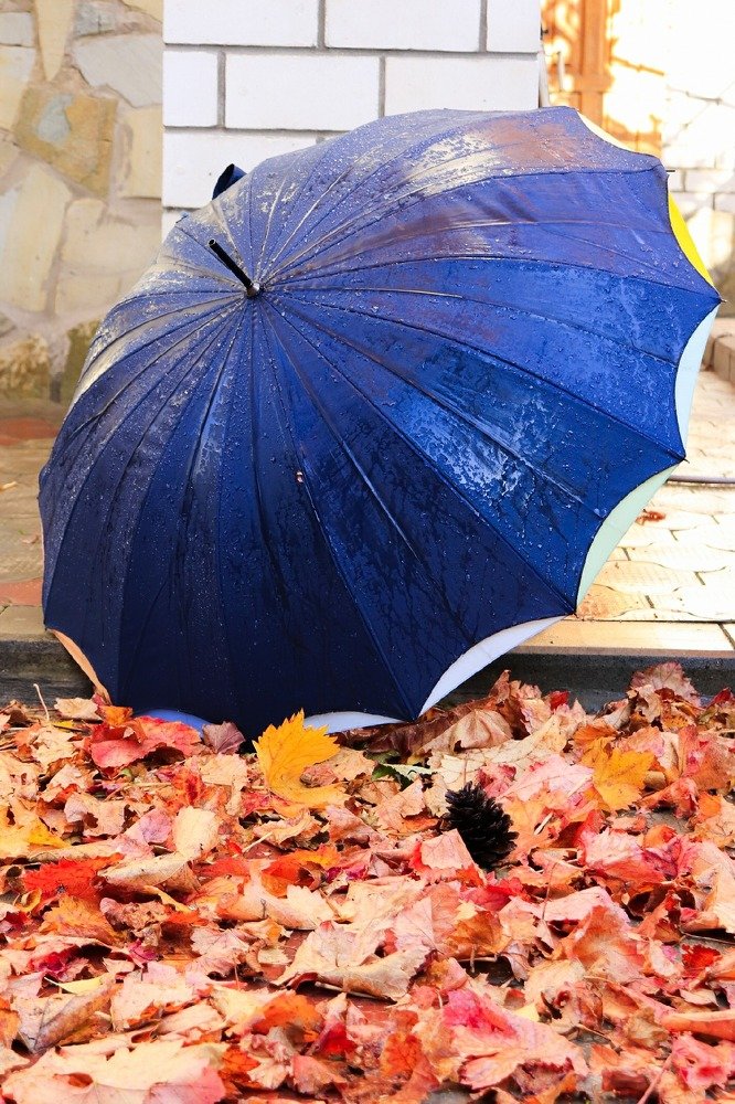 Photograph by Олег Башкуров