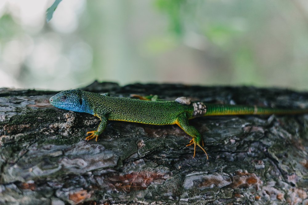 Photograph by Евгения Скидан