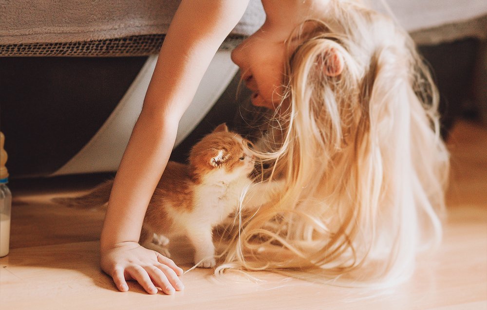 Photograph by Бугаева Юлия