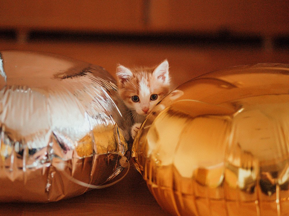 Photograph by Бугаева Юлия