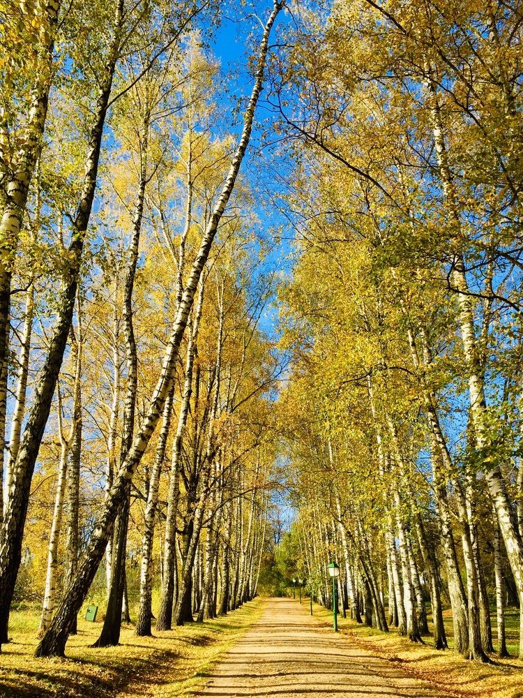 Photograph by Анастасия Козлова