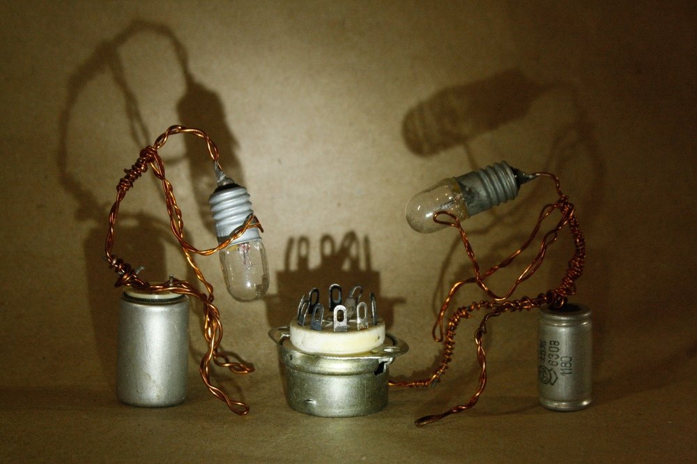 Шахматисты