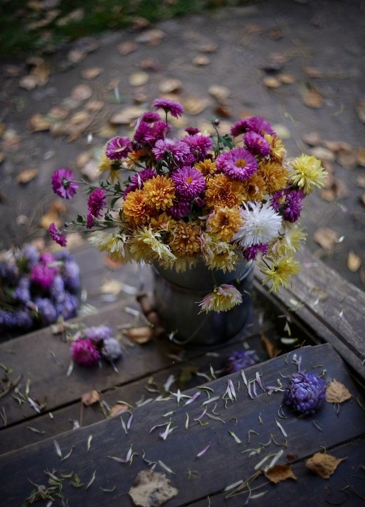 Photograph by Татьяна Кытина