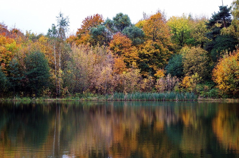 Photograph by Александр Шумаков