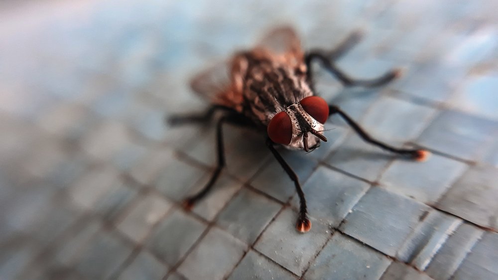 Photograph by Katarina Spaskovski