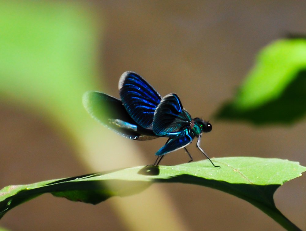 Photograph by Katarina Spaskovski