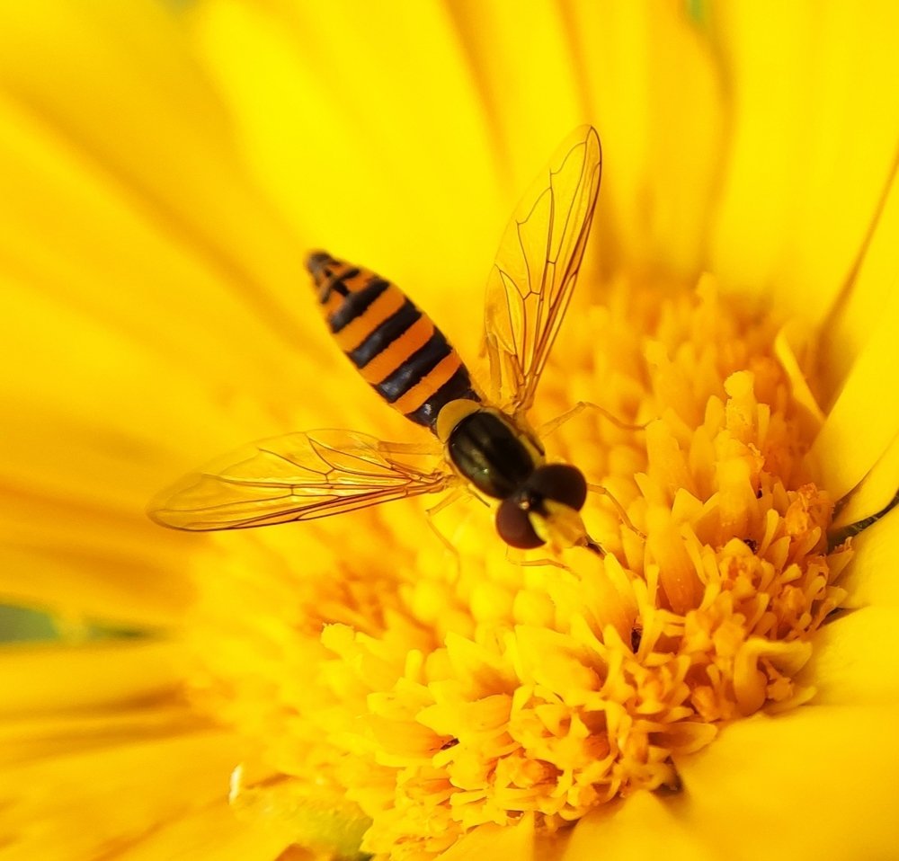 Фотография автора Станислав Ермолин