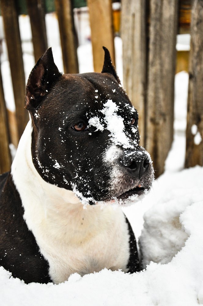 Photograph by Katarina Spaskovski