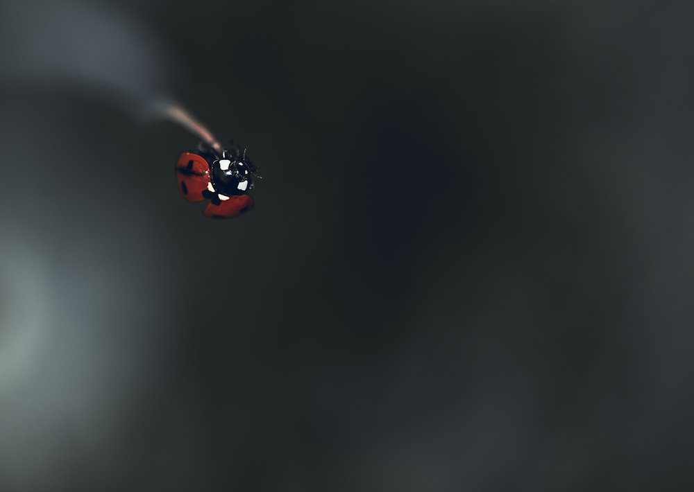 Photograph by Kamila Pawlowska