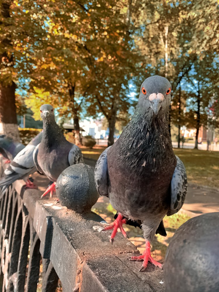 С ЧЕМ ПОЖАЛОВАЛИ К НАМ ?